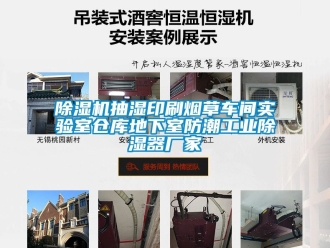 企業新聞除濕機抽濕印刷煙草車間實驗室倉庫地下室防潮工業除濕器廠家