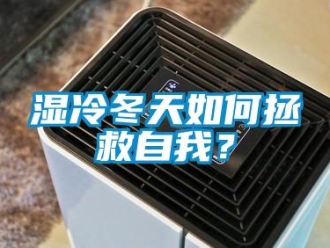 常見問題濕冷冬天如何拯救自我？