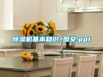 行業新聞除濕機基本知識_圖文.ppt