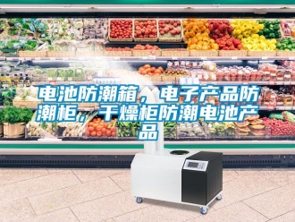 企業新聞電池防潮箱，電子產品防潮柜，干燥柜防潮電池產品