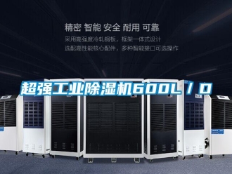 企業(yè)新聞超強(qiáng)工業(yè)除濕機(jī)600L／D