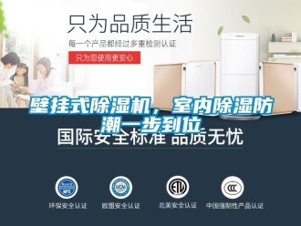 常見問題壁掛式除濕機，室內除濕防潮一步到位