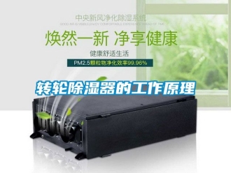 行業新聞轉輪除濕器的工作原理