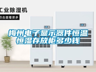 知識百科梅州電子顯示器件恒溫恒濕存放柜多少錢