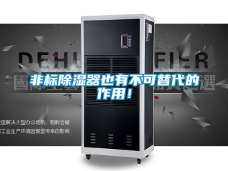 行業新聞非標除濕器也有不可替代的作用！