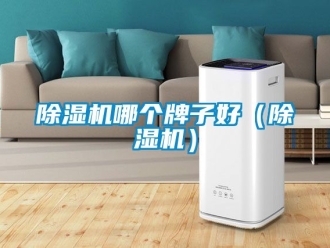 行業新聞除濕機哪個牌子好（除濕機）