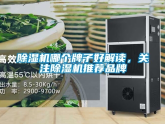 企業新聞除濕機哪個牌子好解讀，關注除濕機推薦品牌