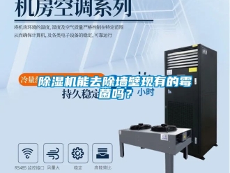 行業新聞除濕機能去除墻壁現有的霉菌嗎？