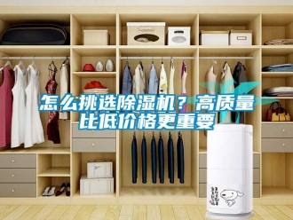 常見問題怎么挑選除濕機？高質量比低價格更重要