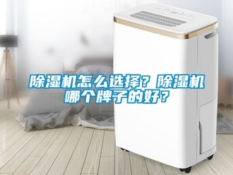 行業新聞除濕機怎么選擇？除濕機哪個牌子的好？