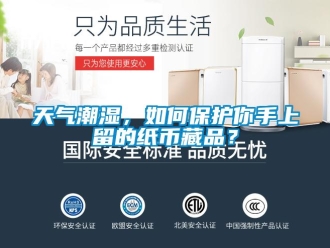 常見問題天氣潮濕，如何保護你手上留的紙幣藏品？
