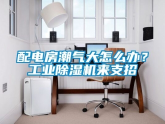 常見問題配電房潮氣大怎么辦？工業除濕機來支招