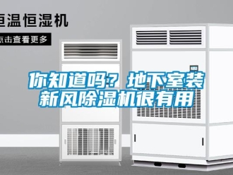 常見問題你知道嗎？地下室裝新風除濕機很有用