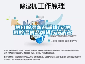 企業新聞進口除濕機品牌排行(進口除濕機品牌排行前十名)