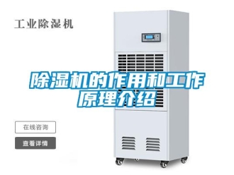 企業新聞除濕機的作用和工作原理介紹