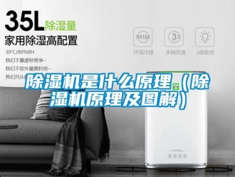 行業新聞除濕機是什么原理（除濕機原理及圖解）