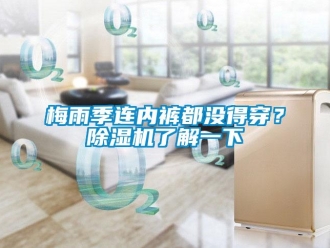 行業(yè)新聞梅雨季連內(nèi)褲都沒得穿？除濕機了解一下