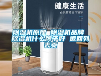 企業新聞除濕機原理 除濕機品牌 除濕機什么牌子好 返回列表頁