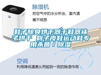 行業新聞鞋子除臭烘干器干鞋器襪子烘干 靴子皮鞋運動鞋專用殺菌／除濕