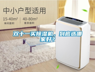 知識百科雙十一買除濕機，到底選哪家好？