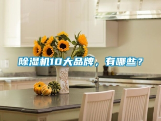 企業新聞除濕機10大品牌，有哪些？