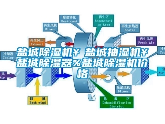 企業新聞鹽城除濕機￥鹽城抽濕機￥鹽城除濕器%鹽城除濕機價格