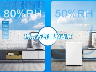 行業(yè)新聞梅雨天氣里的古箏