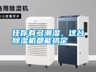 行業新聞任你有多潮濕，這臺除濕機都能搞定