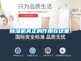 行業新聞除濕機真正的作用在這里！
