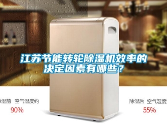 行業(yè)新聞江蘇節(jié)能轉(zhuǎn)輪除濕機(jī)效率的決定因素有哪些？