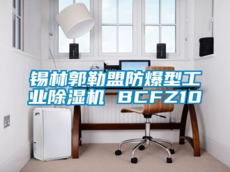 企業新聞錫林郭勒盟防爆型工業除濕機 BCFZ10