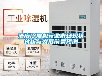 行業新聞酒店除濕機行業市場現狀分析與發展前景預測