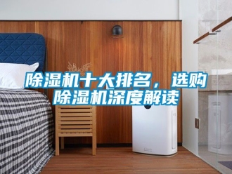 行業(yè)新聞除濕機(jī)十大排名，選購(gòu)除濕機(jī)深度解讀