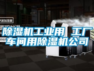 常見問題除濕機工業用 工廠車間用除濕機公司