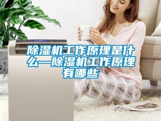 行業(yè)新聞除濕機工作原理是什么—除濕機工作原理有哪些