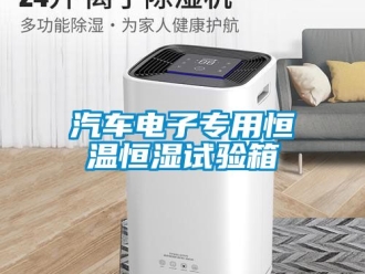 知識百科汽車電子專用恒溫恒濕試驗箱