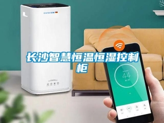 知識(shí)百科長(zhǎng)沙智慧恒溫恒濕控制柜