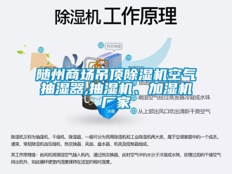 企業(yè)新聞隨州商場(chǎng)吊頂除濕機(jī)空氣抽濕器,抽濕機(jī)、加濕機(jī)廠家