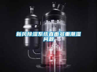 常見(jiàn)問(wèn)題新風(fēng)除濕系統(tǒng)直面多重潮濕問(wèn)題