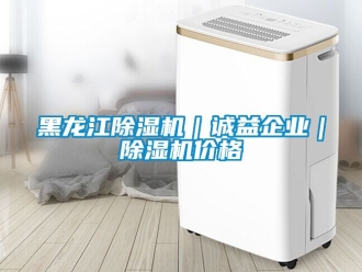 企業(yè)新聞黑龍江除濕機(jī)｜誠益企業(yè)｜除濕機(jī)價(jià)格