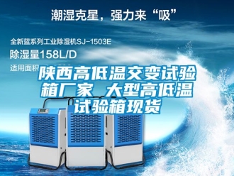 常見問題陜西高低溫交變試驗箱廠家 大型高低溫試驗箱現貨