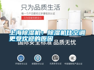 知識百科上海除濕機：除濕機比空調更受歡迎的原因