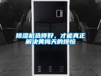 企業新聞除濕機選得好，才能真正解決黃梅天的煩惱