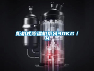 行業新聞柜機式除濕機系列30KG／H