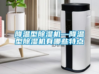 行業新聞降溫型除濕機—降溫型除濕機有哪些特點