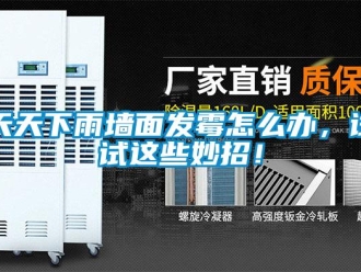 常見問題天天下雨墻面發(fā)霉怎么辦，試試這些妙招！