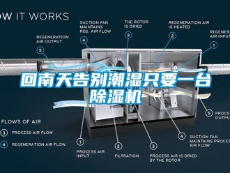 行業新聞回南天告別潮濕只要一臺除濕機