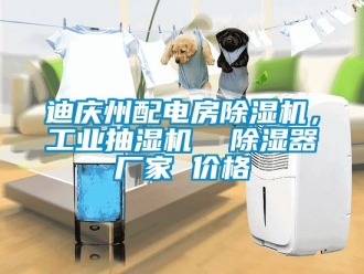 企業(yè)新聞迪慶州配電房除濕機，工業(yè)抽濕機  除濕器廠家 價格