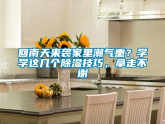 行業新聞回南天來襲家里潮氣重？學學這幾個除濕技巧，拿走不謝
