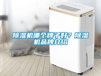 企業新聞除濕機哪個牌子好？除濕機品牌介紹